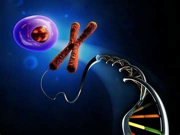 Recombinant DNA Technology